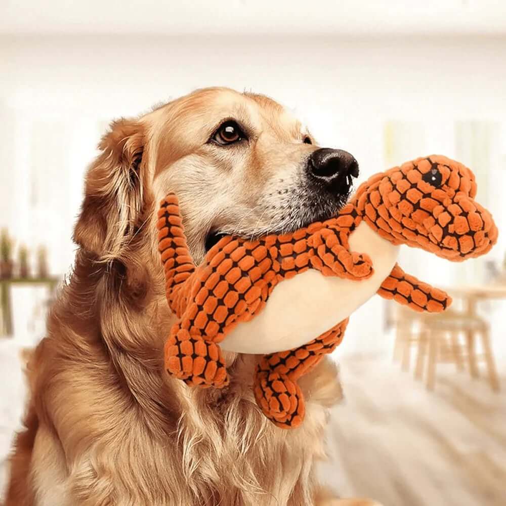 Orange (2pcs)
