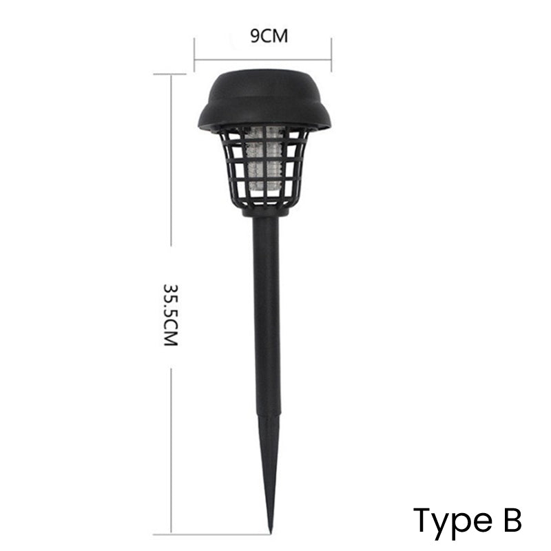 Type B