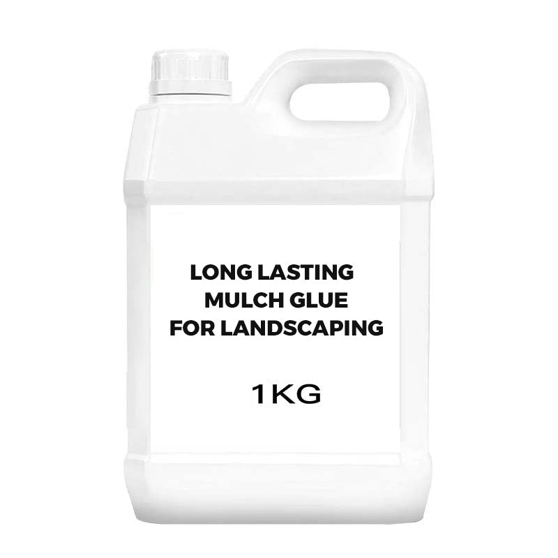 1kg